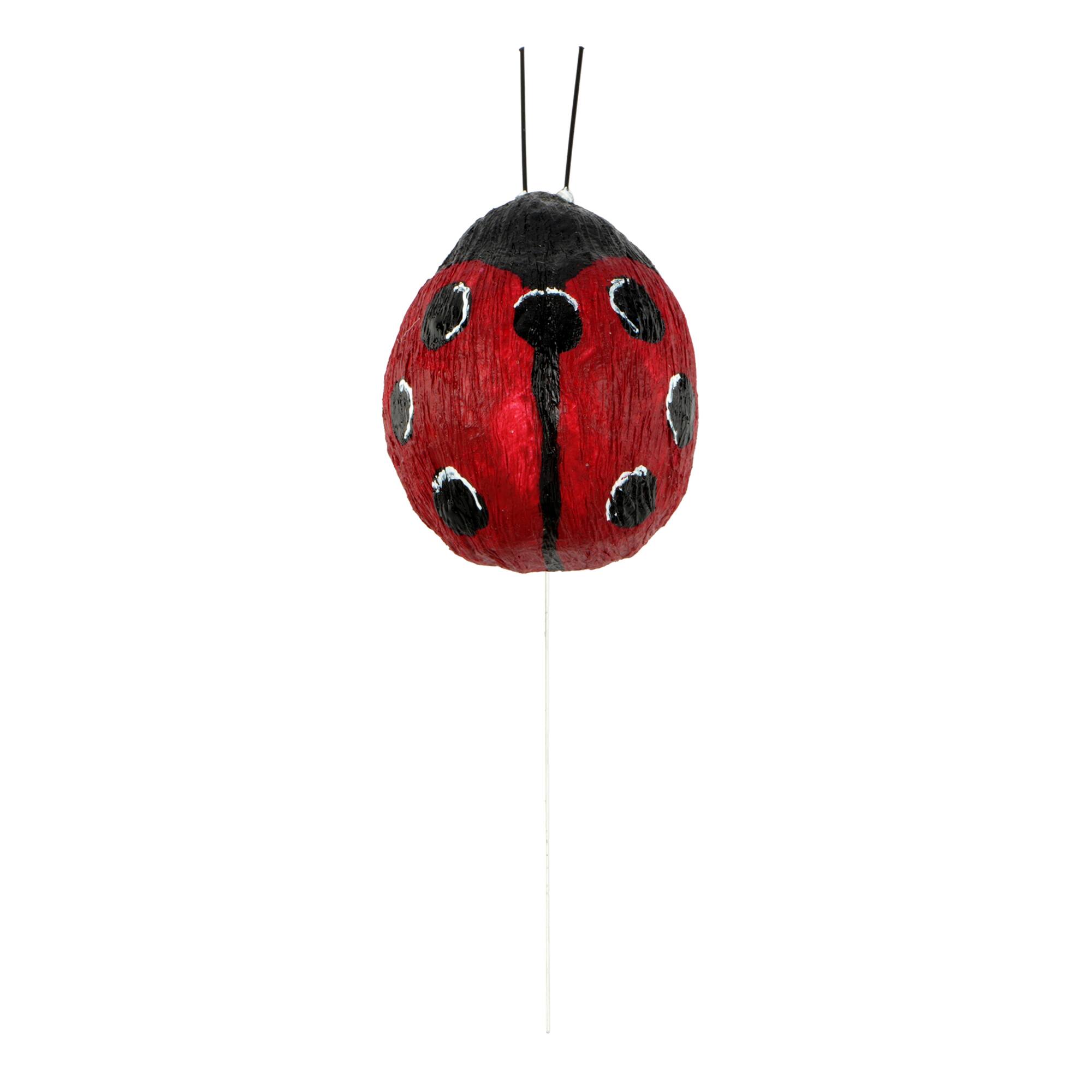 Ladybugs, 2ct. by Ashland®